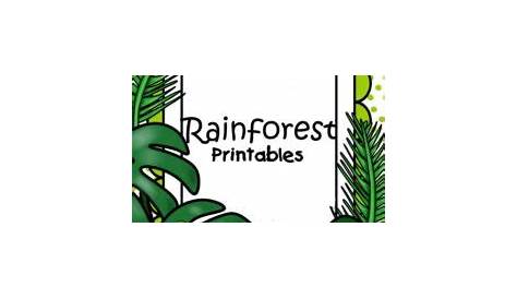 rainforest printables