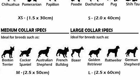 Reflective & Padded - Personalised Dog Collar – UK Custom Pet Collars UK