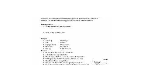 Dna Strawberry Extraction Lab Worksheet : Dna Extraction Lab Strawberry