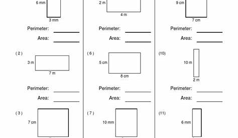 perimeter area circumference worksheet