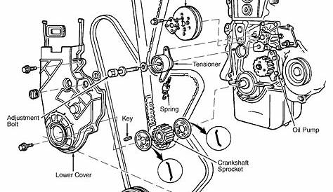 1984 Honda Accord Serpentine Belt Routing and Timing Belt Diagrams