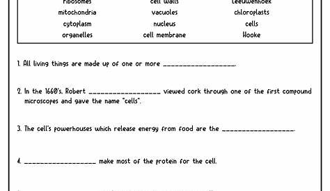 life science 7th grade worksheet