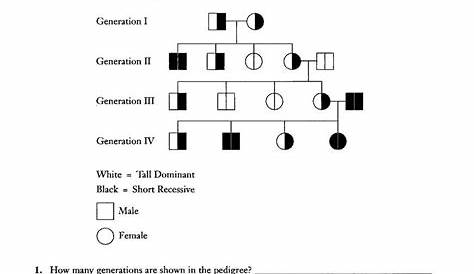 mendelian genetics worksheet