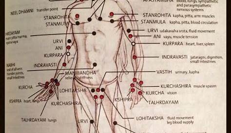 🔯🔯 Lajja Gauree 🔯🔯: 108 marma points cover the human body