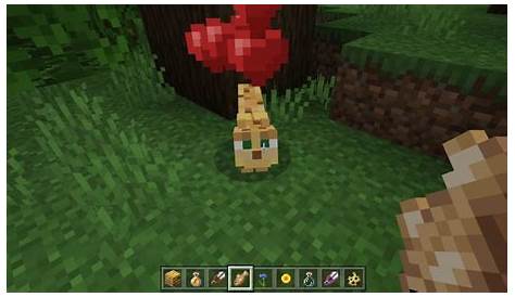what do ocelots eat on minecraft