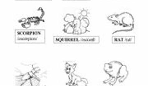 free printable worksheets on animals
