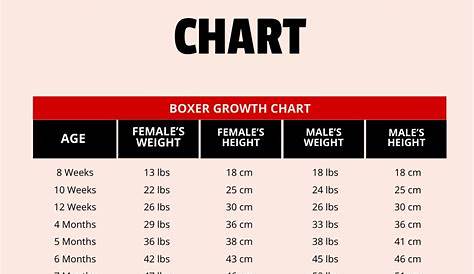 Boxer Dog Weight Chart