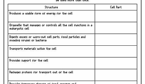 12 Best Images of Science Worksheets All Cells - 7th Grade Life Science