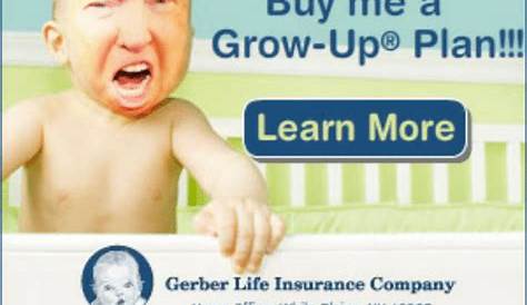 gerber grow up plan scam