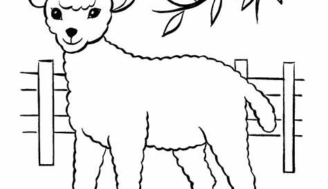 sheep coloring pages printable