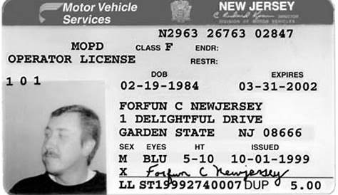 I Lost My Drivers License Il: Nj Drivers License Manual