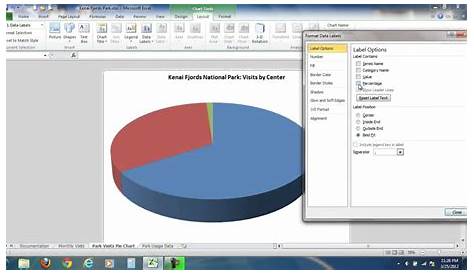 How To Make A 3d Pie Chart In Excel 2010 - Chart Walls