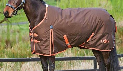 Saxon 600 Denier Medium Standard Neck Horse Blanket Weatherbeeta