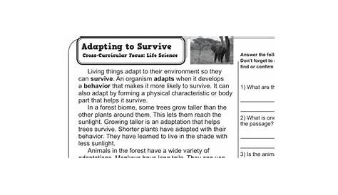 Worksheets On Adaptation Form ≡ Fill Out Printable PDF Forms Online