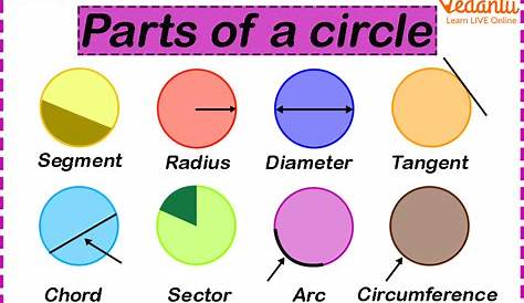 identifying parts of a circle worksheets