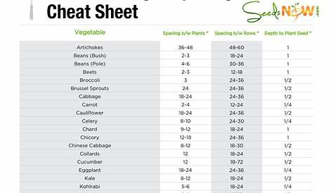 vegetable seed spacing chart