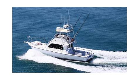 7 Reasons to Hire a Fishing Charter | Sea Reed Charters