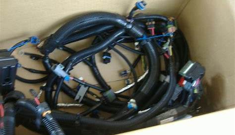 chevrolet truck wiring harness