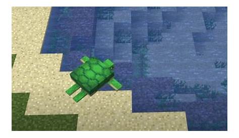 What Do Minecraft Turtles Eat