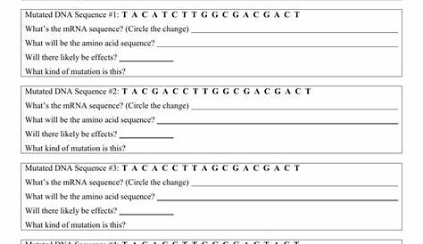 gene mutation practice worksheets
