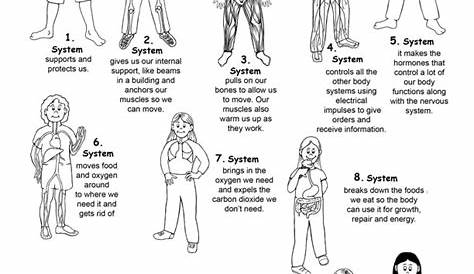 worksheets on body systems