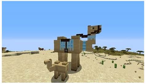 Camels Mod for Minecraft 1.15.2 – Download Mods for Minecraft
