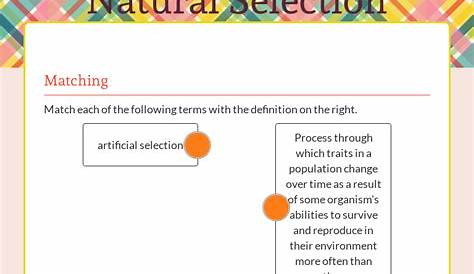 Evolution and Natural Selection Worksheet | Science worksheets