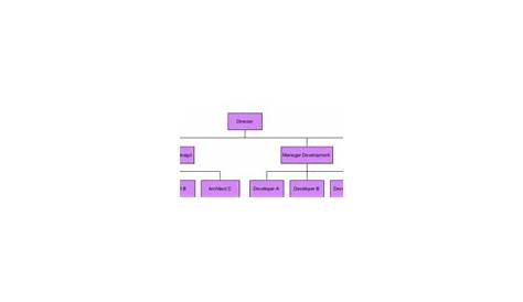 Organization Chart Example: Functional Organizational Template - Visual