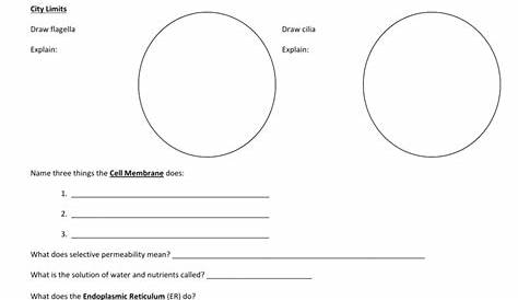 free worksheets on cells