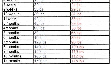weight chart for rottweiler puppies