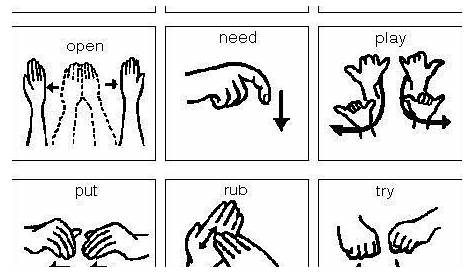 #signlanguagebasics | Sign language words, Sign language alphabet, Sign
