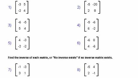 matrix algebra worksheet