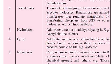 “Enzymes-Classification Of Enzymes – ” Biochemistry Notes for Class 12
