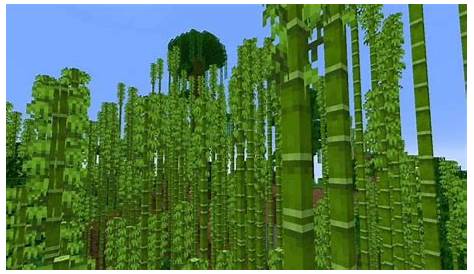 Minecraft Bamboo: Location, how to grow, uses and more!