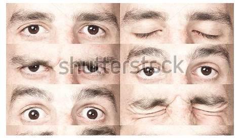 male eye shape chart
