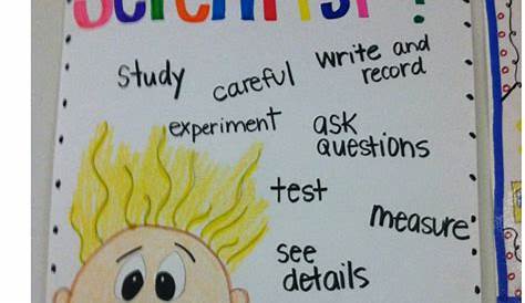 For the Love of First Grade: My Week in Anchor Charts!