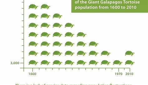 red footed tortoise growth chart