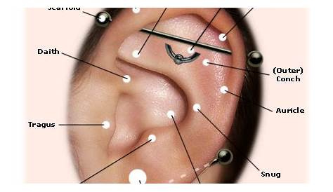 Ear Piercing - Piercing Pictures