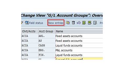 Group Chart Of Accounts In Sap Fico - Chart Walls