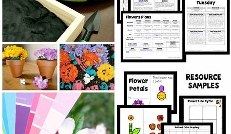 flowers lesson plan for kindergarten