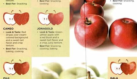 Types of Apples & Their Uses | Desserts | Pinterest
