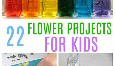 flowers lesson plan for kindergarten