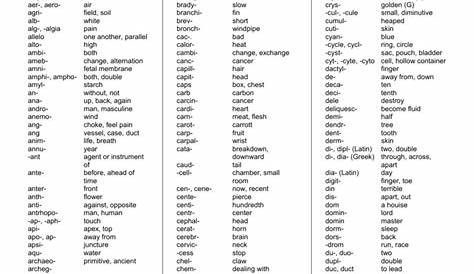 greek and latin root words worksheet