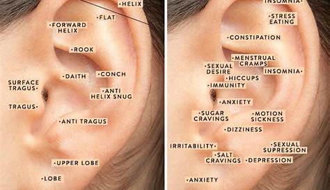 Ear Seeds Placement Chart