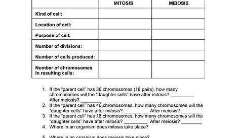 Comparing Mitosis And Meiosis Worksheets