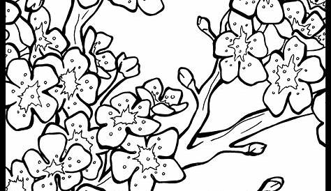 Chinese Lantern Festival Coloring Book - MOBOT on Behance