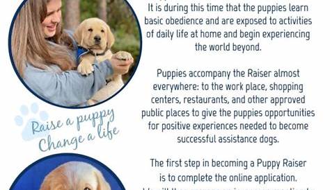 guide dog foundation puppy raiser manual