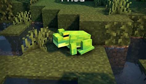 what do frogs eat on minecraft