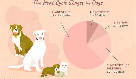 heat chart for dogs