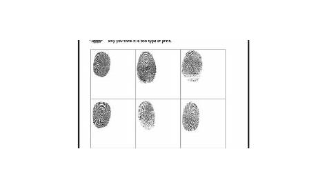 fingerprint matching worksheet